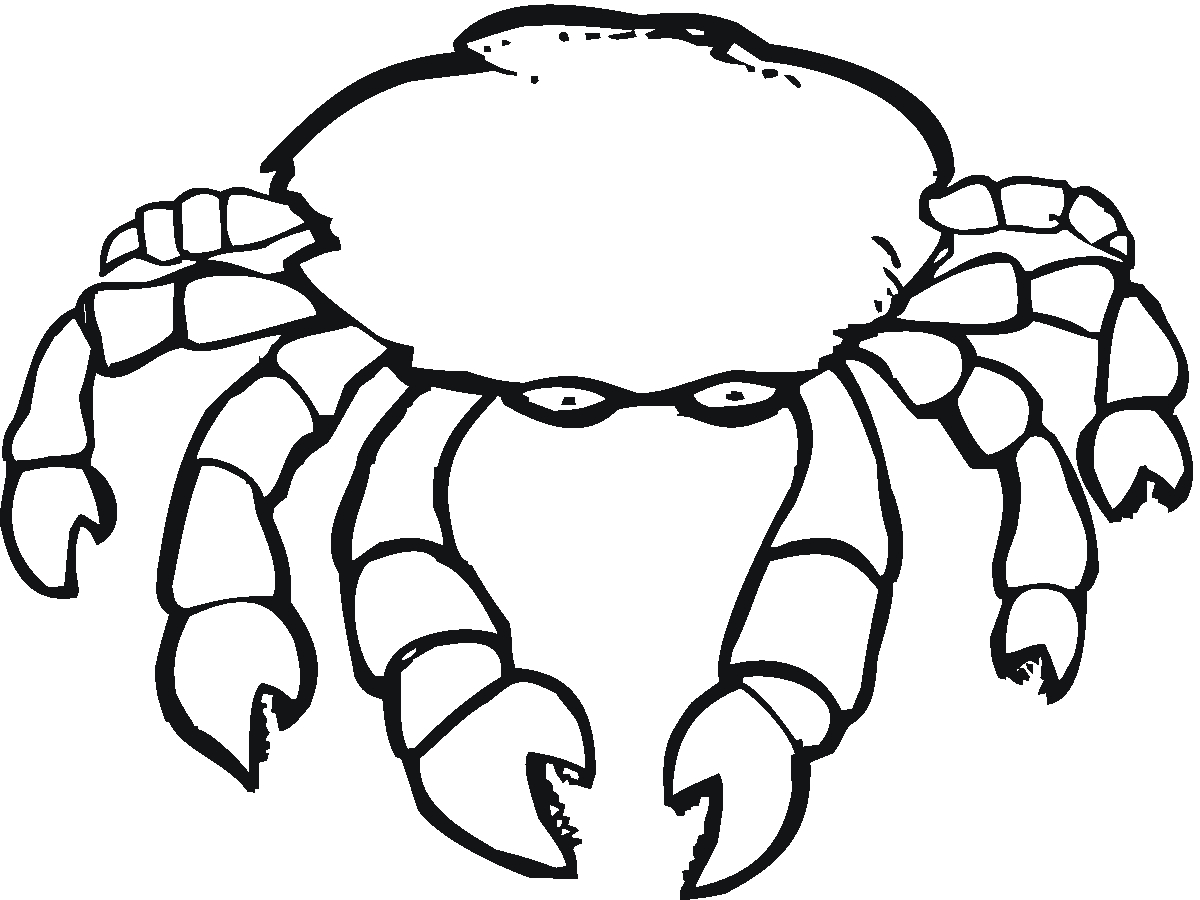 Coloriage d'un crabe sur le sable avec des algues marines