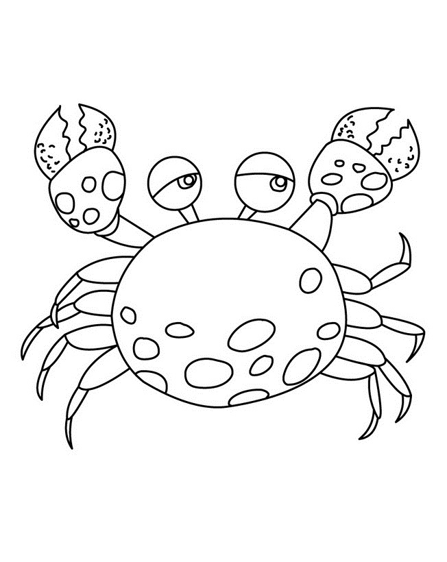 Un crabe joyeux sur le rivage en attente de couleurs