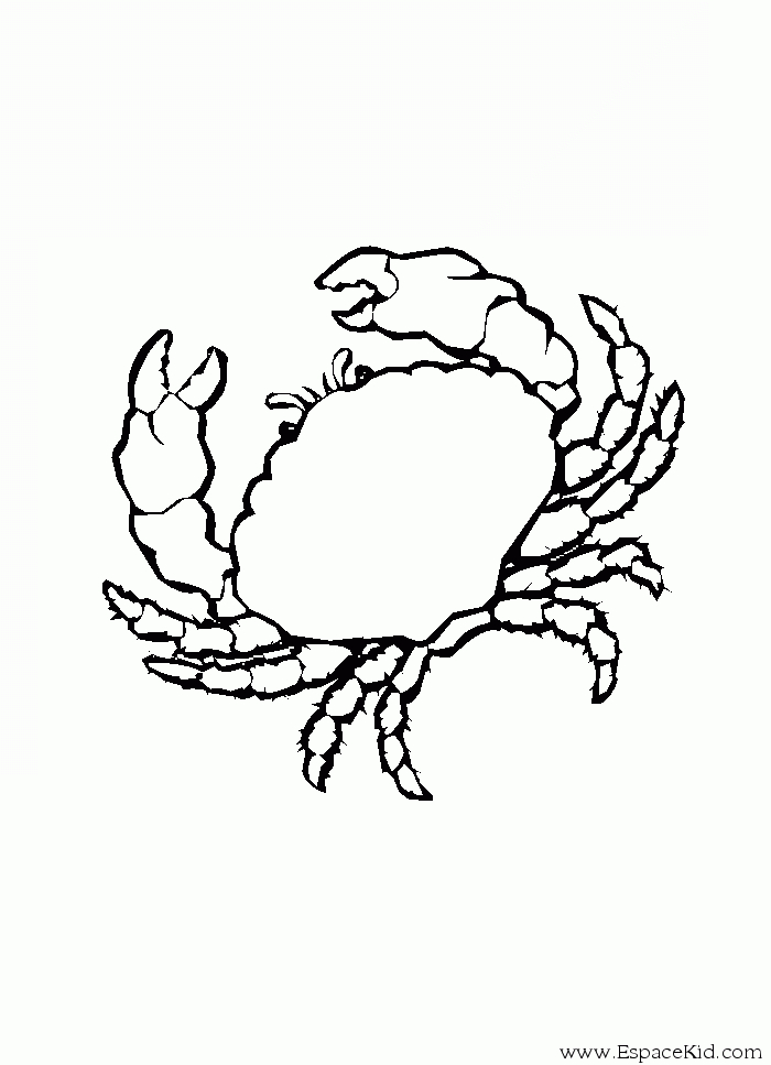 Un crabe joyeux sur le sable avec des vagues en arrière-plan