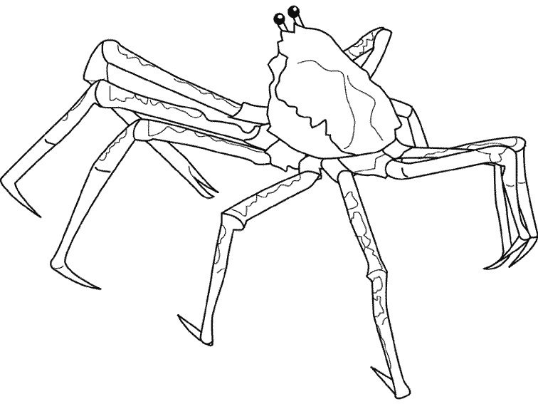 Un crabe joyeux se balançant sur le sable d'une plage