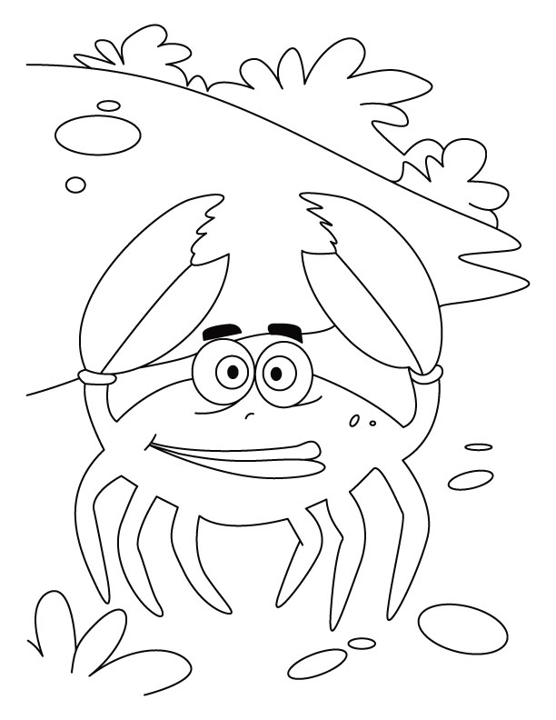 Coloriage d'un crabe sur un fond marin