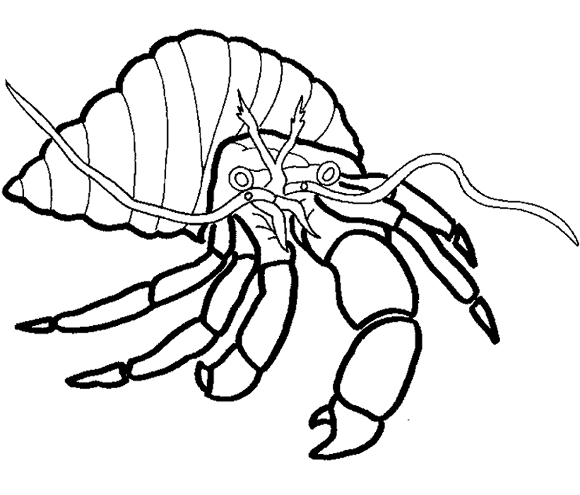Coloriage d'un crabe joyeux sur le sable