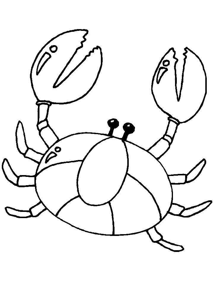 Un crabe joyeux sur la plage
