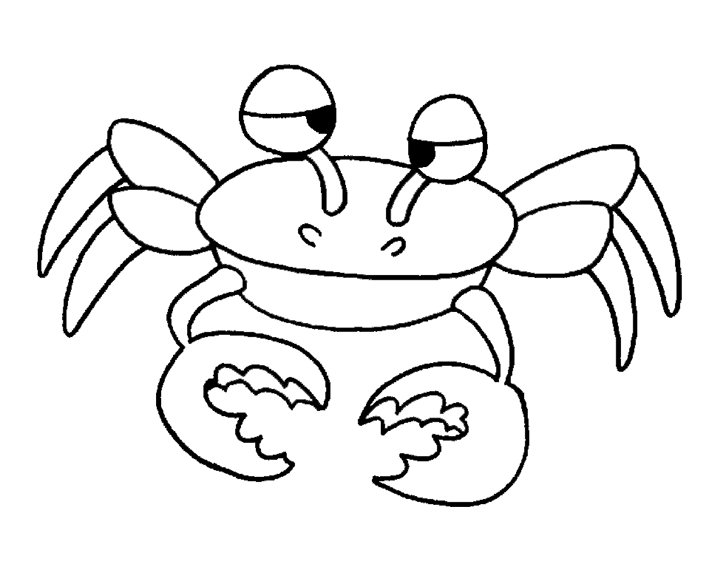 Coloriage d'un crabe sur la plage entouré de coquillages