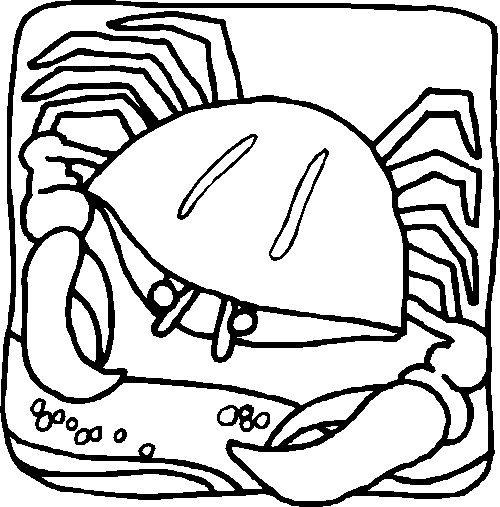 Coloriage d'un crabe sur le sable avec des coquillages