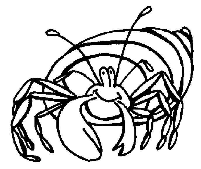 Crabe en pleine exploration sur le sable