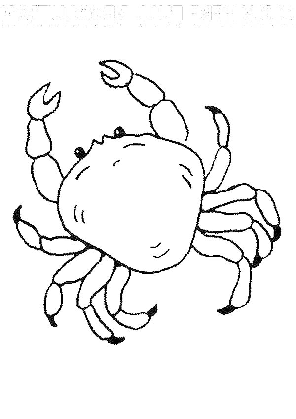 Coloriage d'un crabe sur le sable avec des algues
