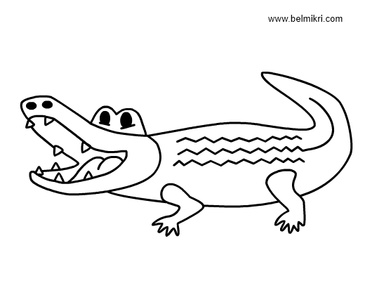 Crocodile au bord de l'eau dans un décor naturel