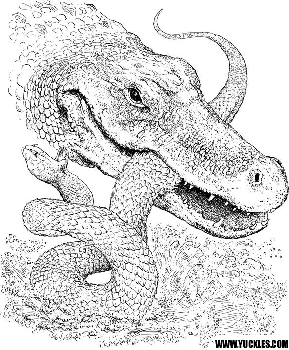Coloriage d'un crocodile se reposant au bord de l'eau