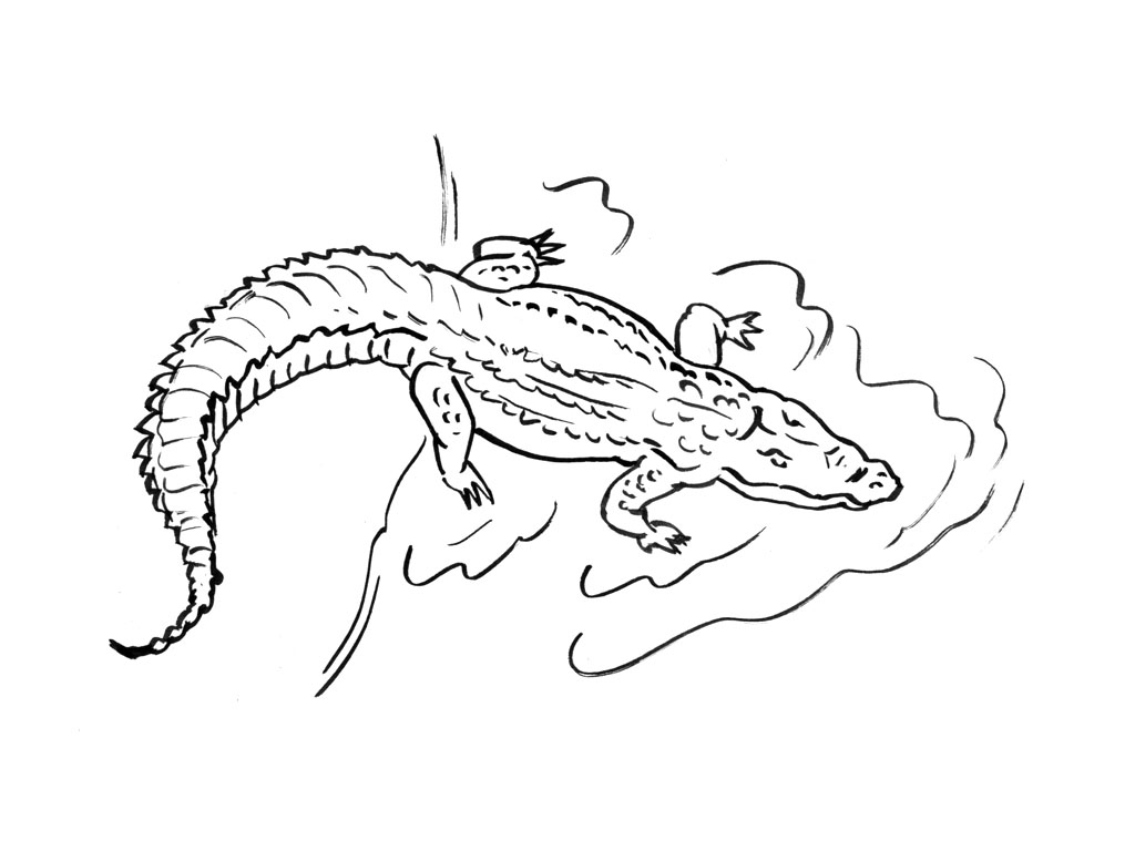 Coloriage d'un crocodile se baskant sur la rive d'une rivière Coloriage d'un crocodile se baskant sur la rive d'une rivière