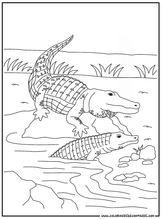 Coloriage d'un crocodile se reposant sur la rive d'une rivière