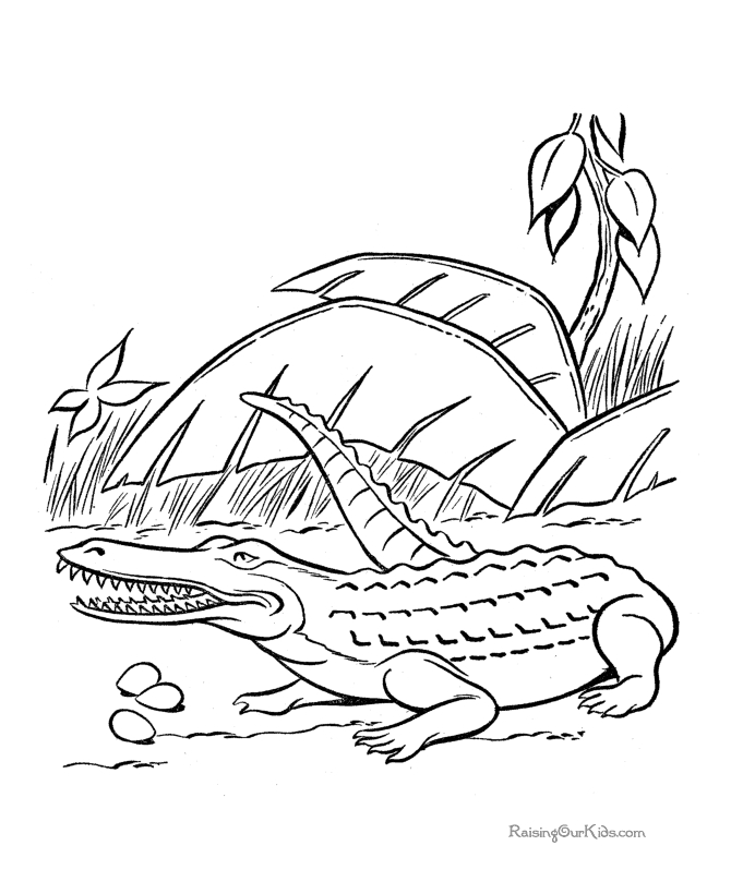 Un crocodile paisible sur un fond de nature Un crocodile paisible sur un fond de nature