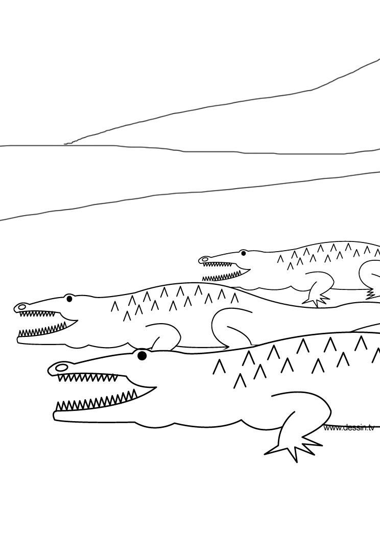 Coloriage d'un crocodile au repos sur la rive d'une rivière
