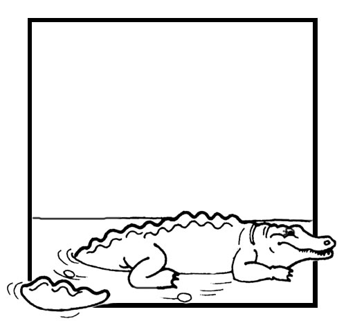 Un crocodile souriant dans son environnement aquatique