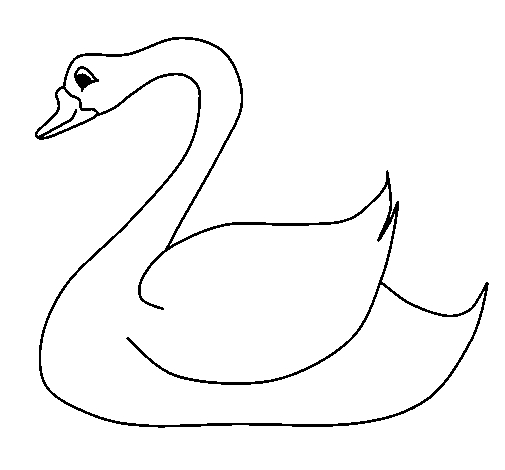 Cygne majestueux nageant sur un lac tranquille