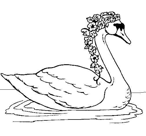 Cygne majestueux nageant sur un étang paisible