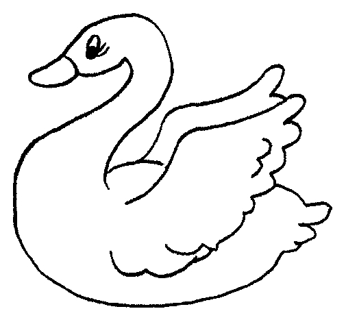 Un cygne gracieux nageant paisiblement sur un plan d'eau