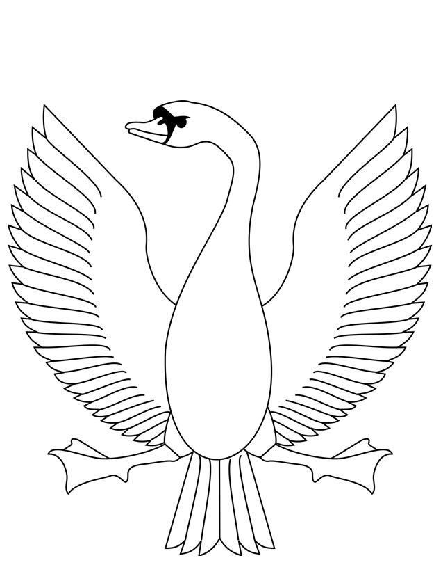 Un cygne majestueux nageant paisiblement sur un lac