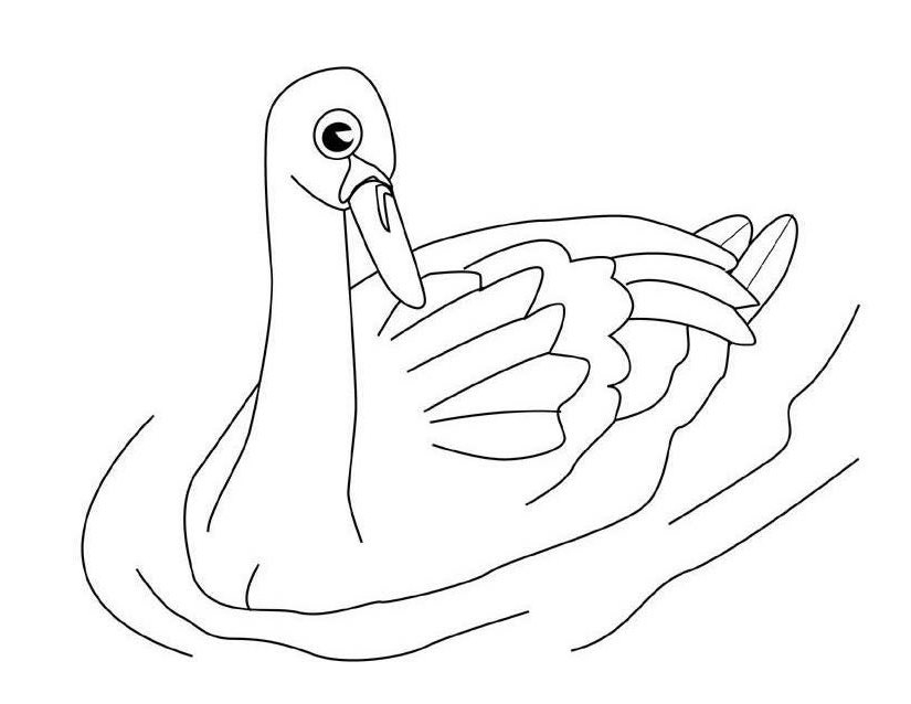 Coloriage d'un cygne majestueux sur un lac tranquille