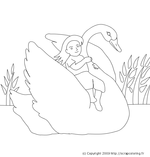 Un cygne gracieux nageant sur un étang paisible