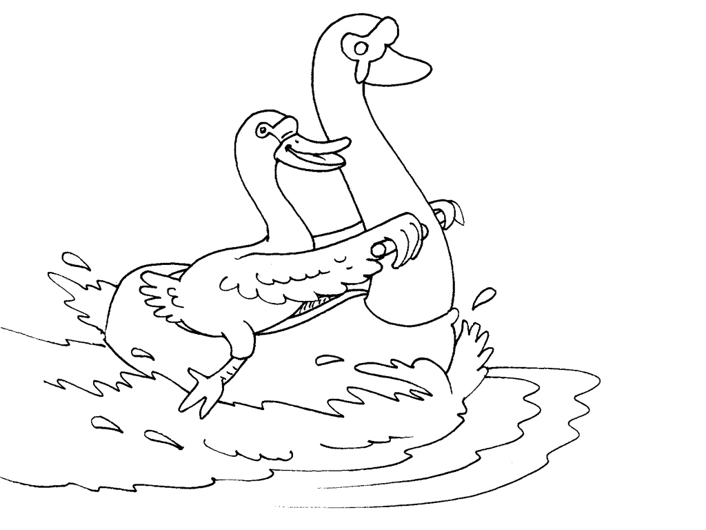 Cygne majestueux nageant paisiblement sur un étang