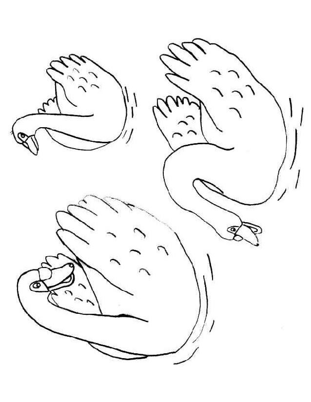 Coloriage d'un cygne glissant sur l'eau dans un cadre naturel