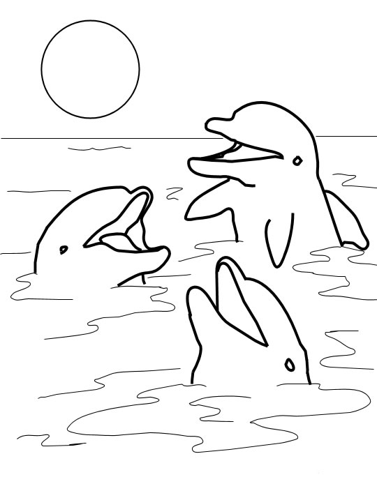 Un dauphin en pleine mer sous un ciel ensoleillé