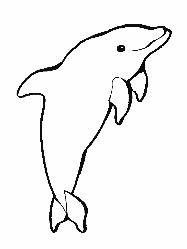 Un dauphin joyeux jouant dans les vagues sous le soleil