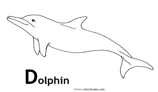 Dauphin jouant dans des vagues sous un ciel ensoleillé