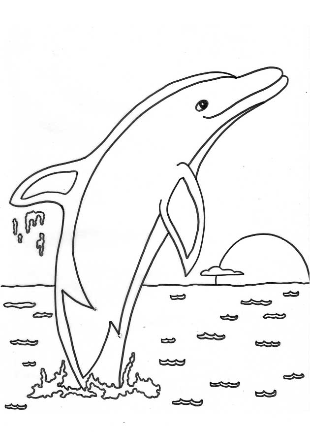 Un dauphin joueur dans les vagues de l'océan