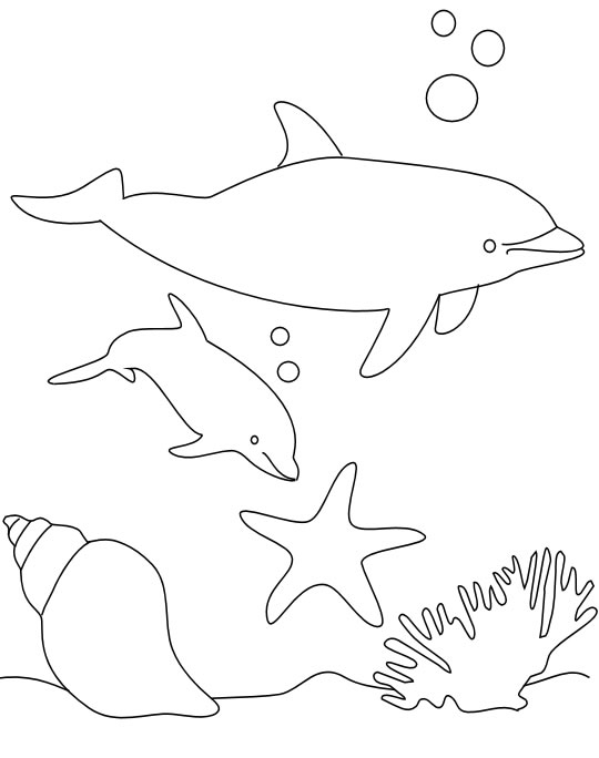 Coloriage d'un dauphin dans son habitat marin