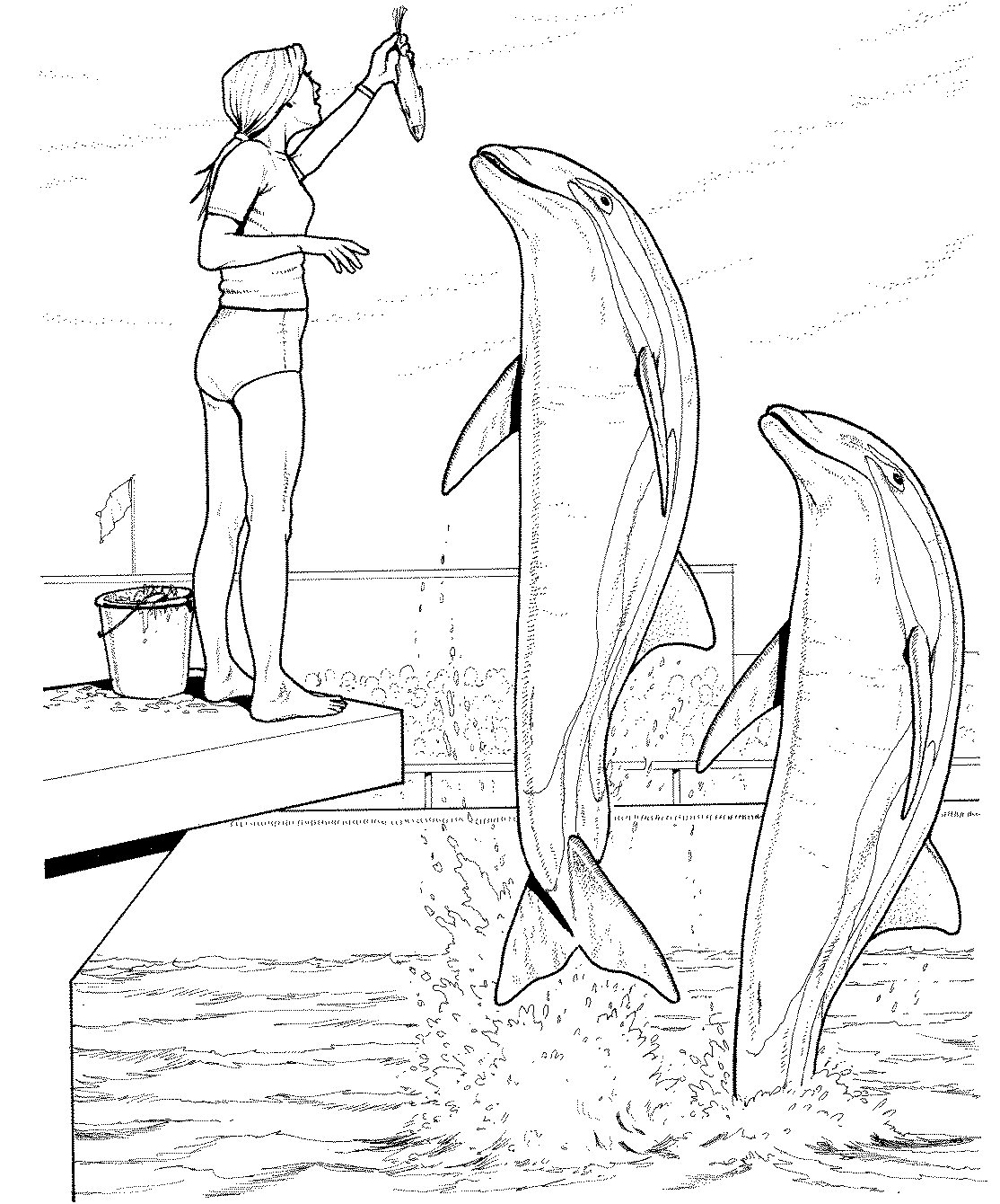 Un dauphin joyeux au milieu des vagues