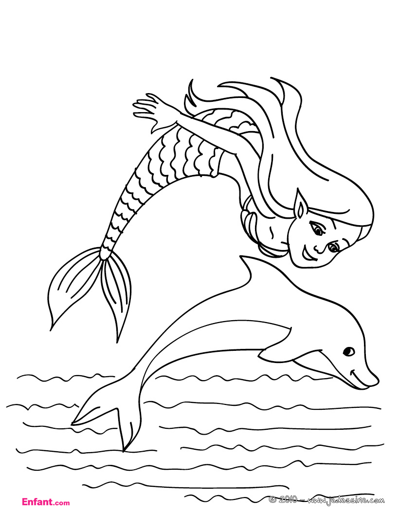 Un dauphin joyeux sautant au-dessus des vagues