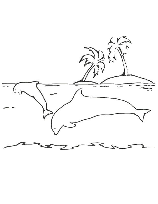 Un dauphin joyeux nageant dans des vagues douces