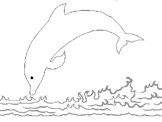 Un dauphin joueur au cœur des vagues
