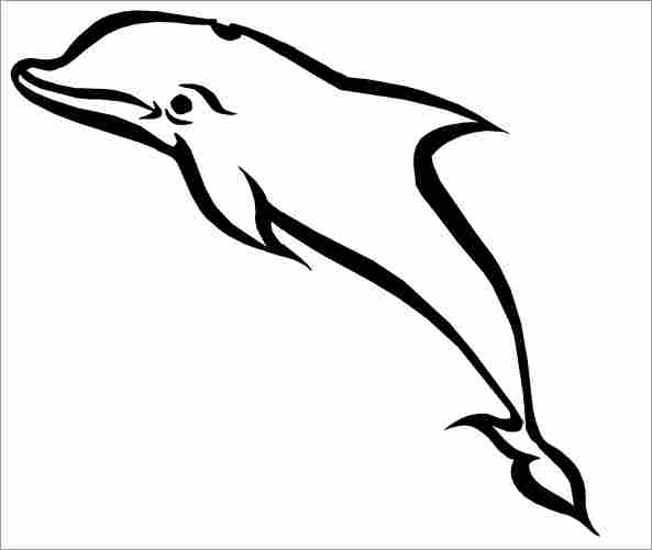 Un dauphin enjoué dans les vagues de l'océan