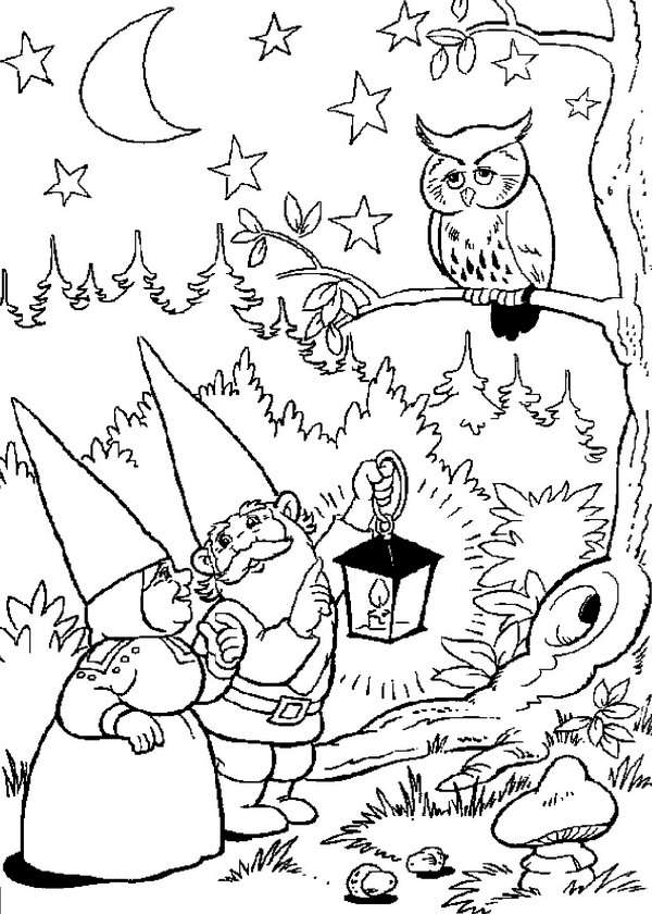 David le Gnome en pleine aventure dans la forêt