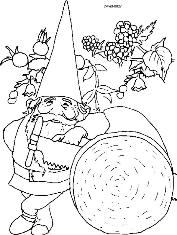 David le Gnome en pleine aventure dans la forêt