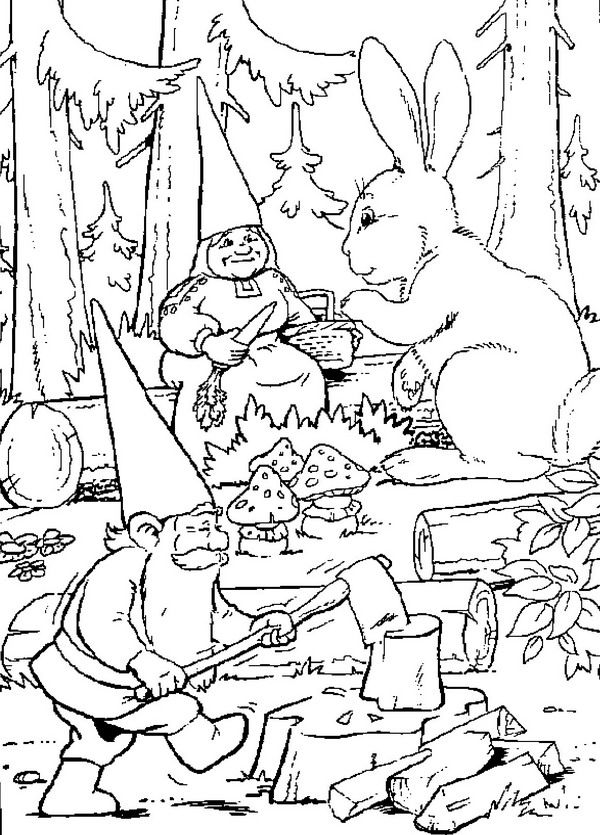 David le Gnome observant la nature entouré d'animaux