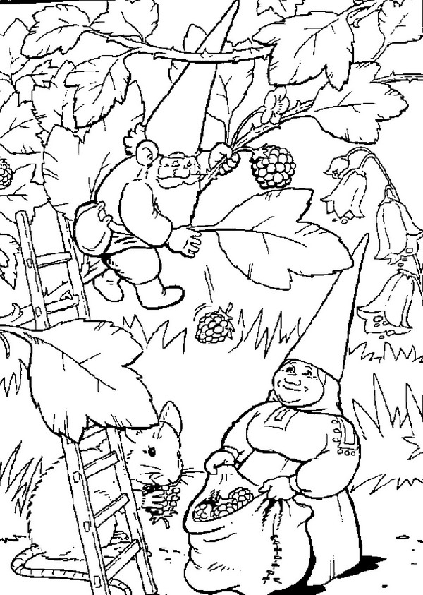 David le Gnome en pleine nature avec un animal