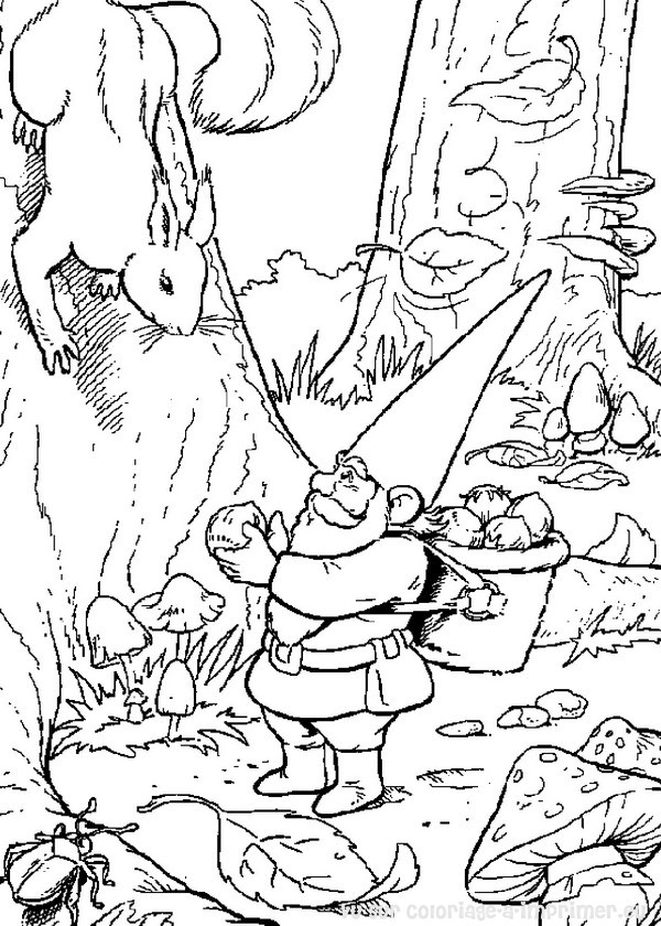 David le Gnome en pleine contemplation dans la forêt