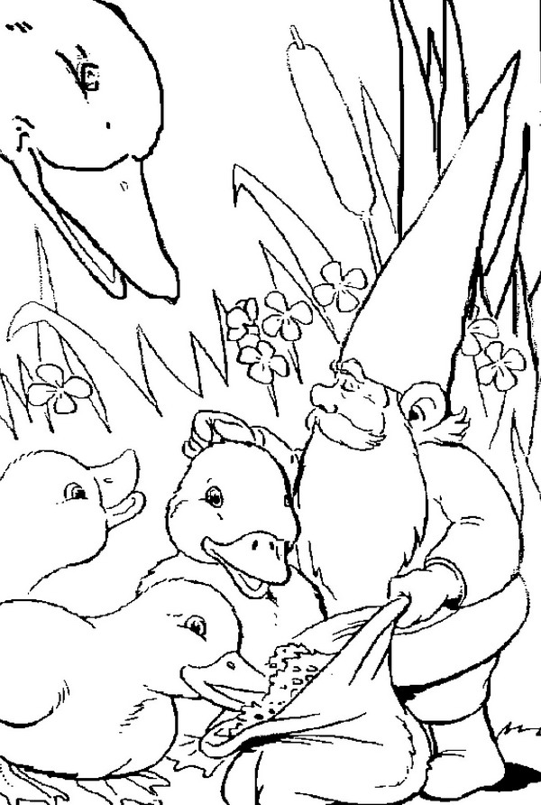 David le Gnome en pleine nature avec son ami le renard