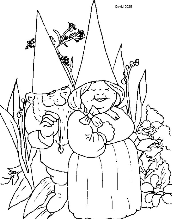 David le Gnome en pleine aventure dans la forêt