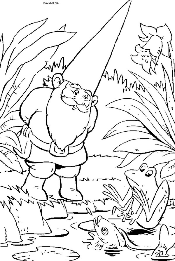 David le Gnome en pleine aventure dans la forêt