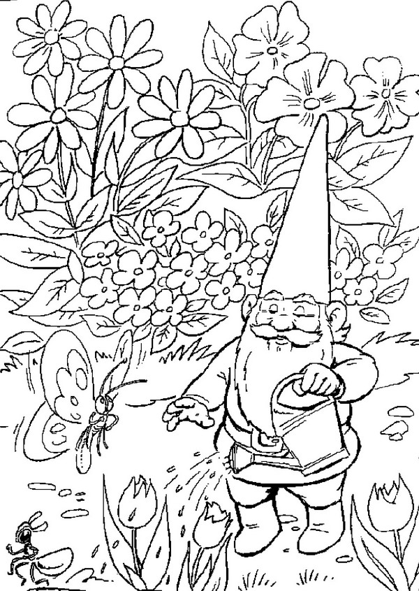 David le Gnome en pleine aventure dans la forêt