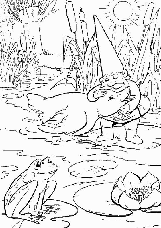 David le Gnome en pleine aventure dans la forêt