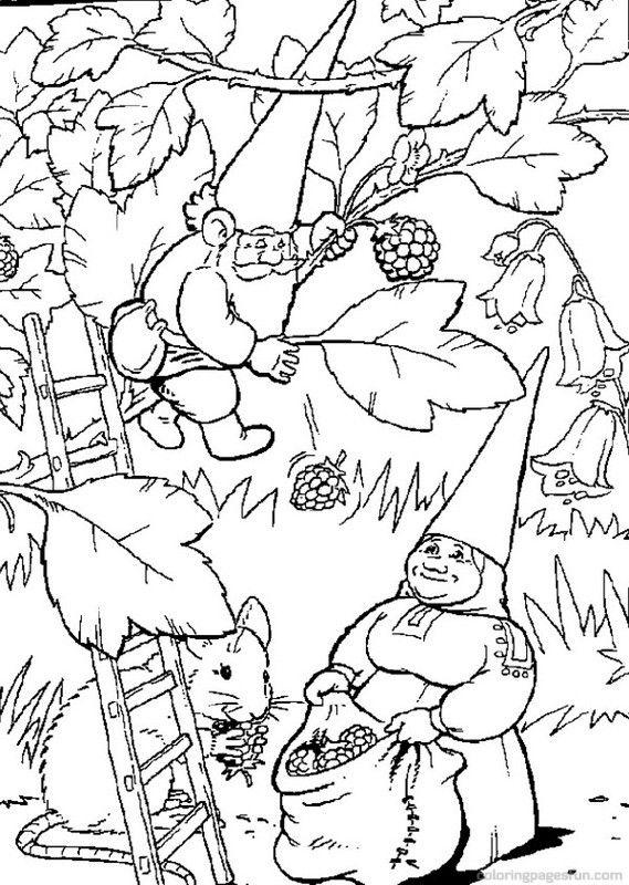 David le Gnome dans une forêt verdoyante