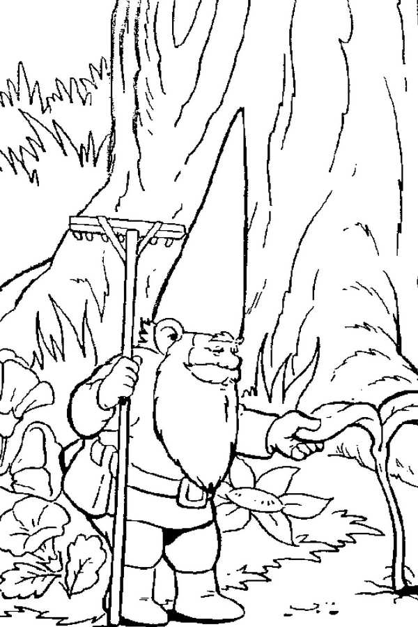 David le Gnome dans son jardin en pleine aventure