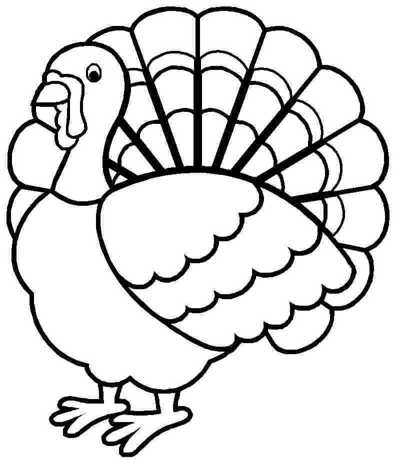 Coloriage d'une dinde festive en pleine nature