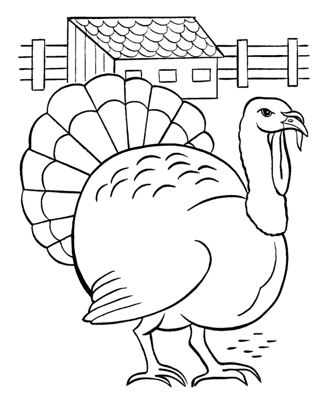 Coloriage d'une dinde ornée de plumes colorées dans un cadre naturel